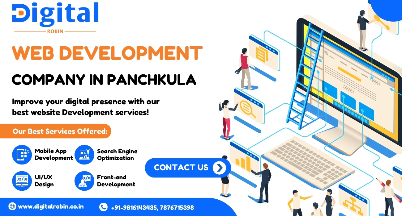 Web development company in Panchkula