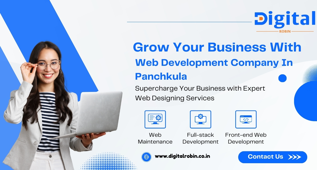 Web development company in Panchkula