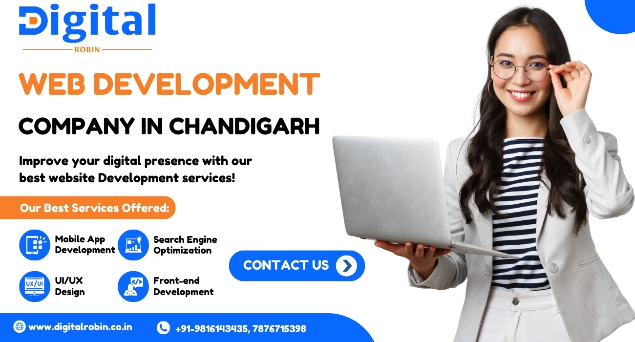 Web development company in Chandigarh